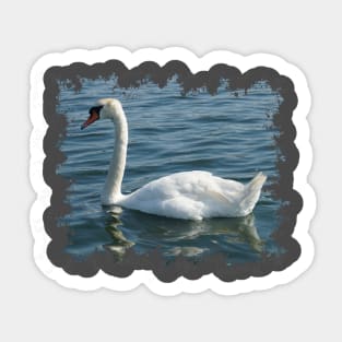 Swan Sticker